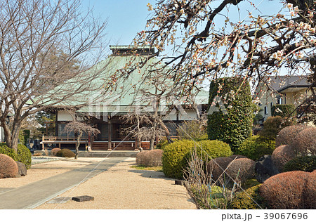 岩槻散歩:浄安寺 岩槻散歩:浄安寺 39067696
