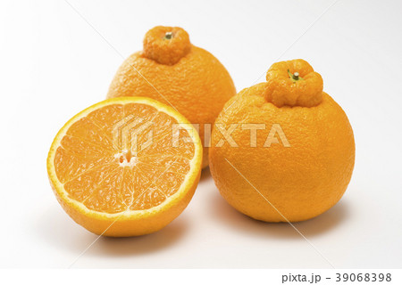 デコポン デコポン 39068398