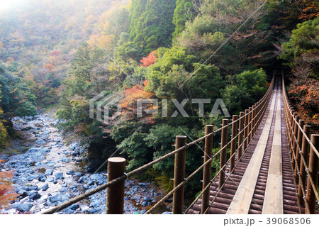 樅木の吊り橋 五家荘 樅木の吊り橋 五家荘 39068506