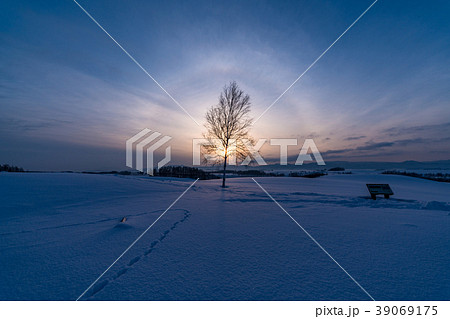 《北海道》冬の美瑛・新栄の丘で眺める幻日環 39069175