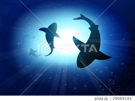 Two sharks in the underwater background Two sharks in the underwater background 39069183