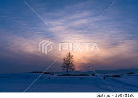 《北海道》冬の美瑛・新栄の丘の夕景 39070136