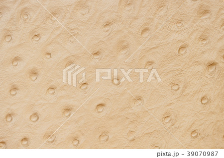 Light Brown texture of genuine leather close-up Light Brown texture of genuine leather close-up 39070987