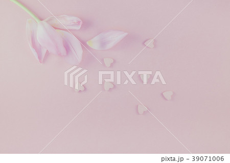 Pink tulip with heart candy sprinkles Flat lay Pink tulip with heart candy sprinkles Flat lay 39071006