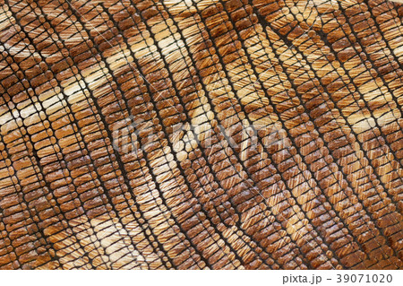 Bright texture of genuine leather close-up 39071020