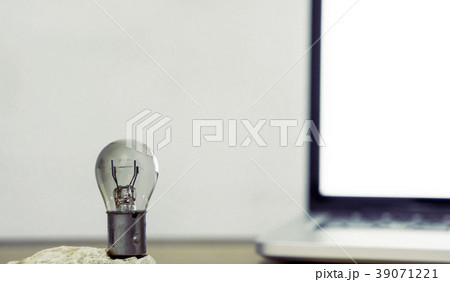 球根 電球 球 39071221