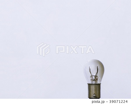 球根 電球 球 39071224