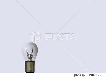 球根 電球 球 39071225