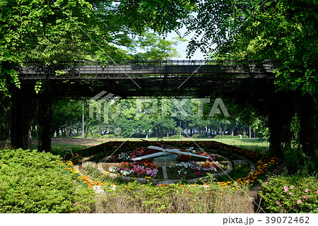 船橋市行田公園 船橋市行田公園 39072462