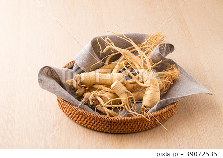 高麗人参 39072535