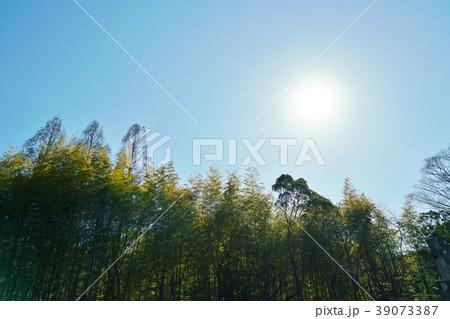 大阪府富田林市梅の里にある、梅の里1号公園での風景 39073387