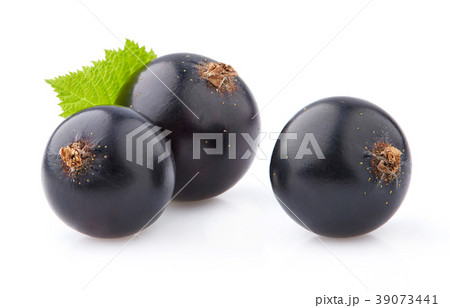 Blackcurrant in closeup with leaves Blackcurrant in closeup with leaves 39073441