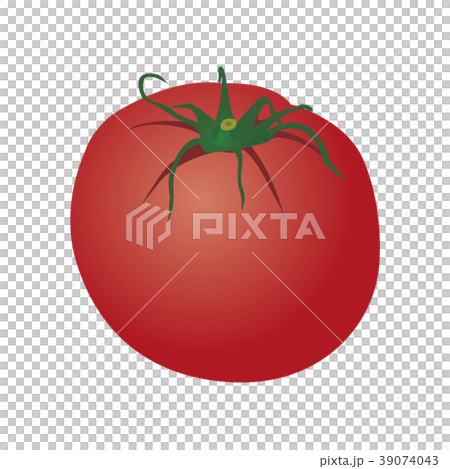 Tomato Tomato 39074043