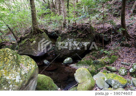 八谷溪谷 39074607