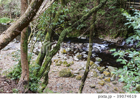 八谷溪谷 39074619