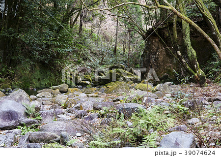 八谷溪谷 八谷溪谷 39074624