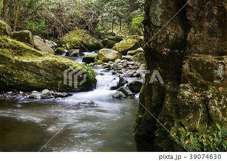 八谷溪谷 39074630
