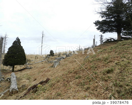 春の英彦山 春の英彦山 39078476