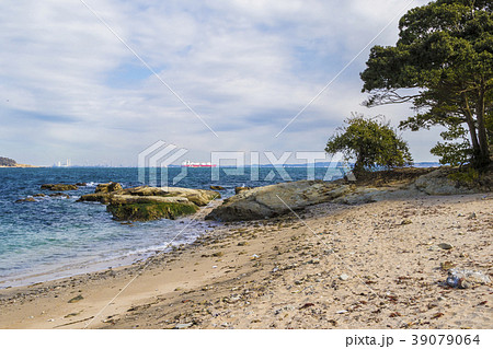 海岸 三浦 燈明崎 海岸 三浦 燈明崎 39079064