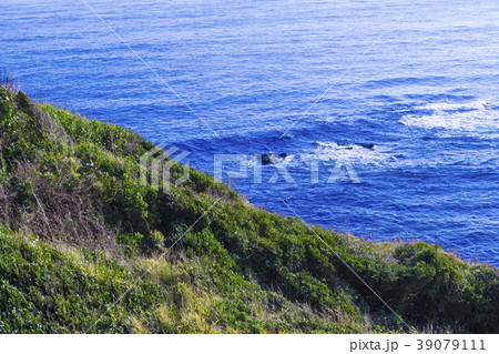岩肌と海 安房崎 岩肌と海 安房崎 39079111