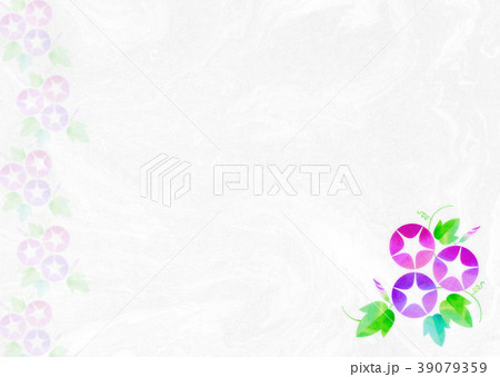 背景素材_朝顔（ピンク系） 39079359