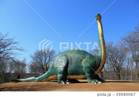 公園の恐竜 39080067