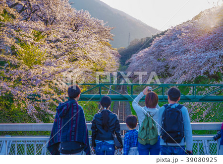 春の山北駅(神奈川県足柄上郡) 春の山北駅(神奈川県足柄上郡) 39080925