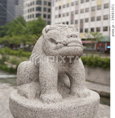 ソウル 清渓川 石像 39081951