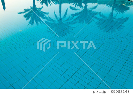 Coconut palm tree reflection on the swimming pool Coconut palm tree reflection on the swimming pool 39082143