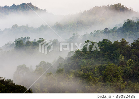 Rain forests and mist-covered mountains 39082438