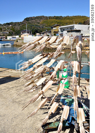 イカの天日干し機 回転式天日干し機 佐賀県玄海町の写真素材