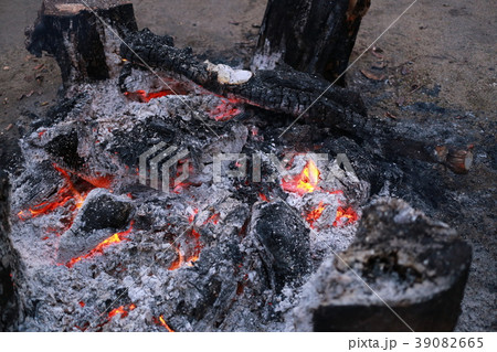 炭 炭 39082665