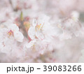 光の中で満開の桜 39083266
