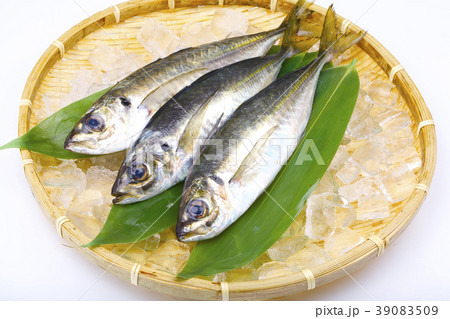 アジ　食材 39083509
