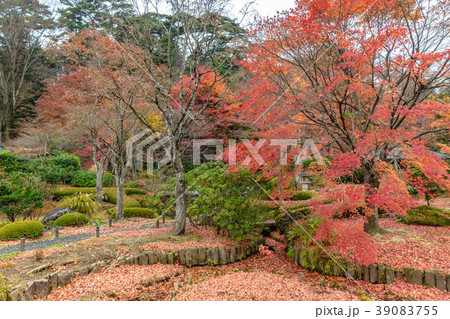 翠楽園 秋景色 39083755