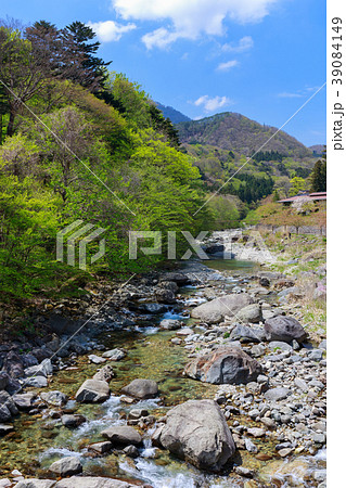 栃木県那須塩原市　板室　那珂川（5月） 39084149