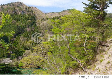 栃木県那須塩原市　板室の新緑（5月） 39084168