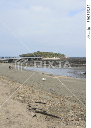 青島（宮崎県宮崎市青島） 39086382