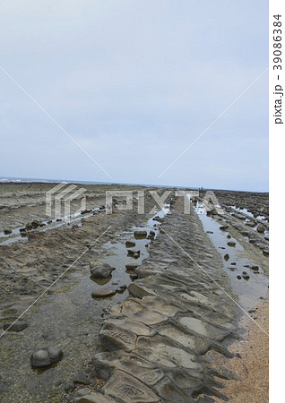 鬼の洗濯板（青島神社／宮崎県宮崎市青島） 39086384