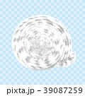 Vector seashell isolated  on the transparent back 39087259