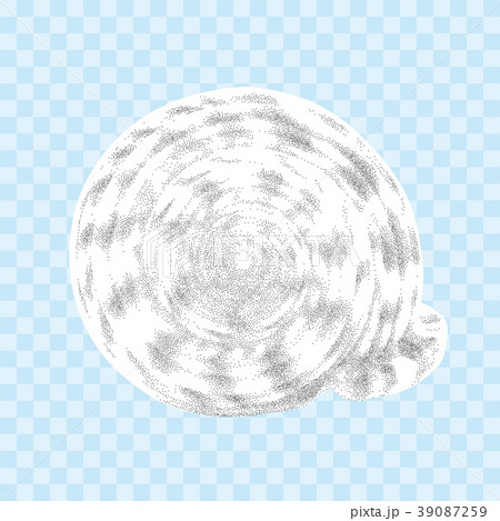 Vector seashell isolated on the transparent back Vector seashell isolated on the transparent back 39087259