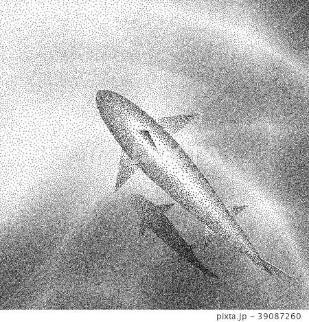 Aerial view of a shark swimming in clear water. Aerial view of a shark swimming in clear water. 39087260