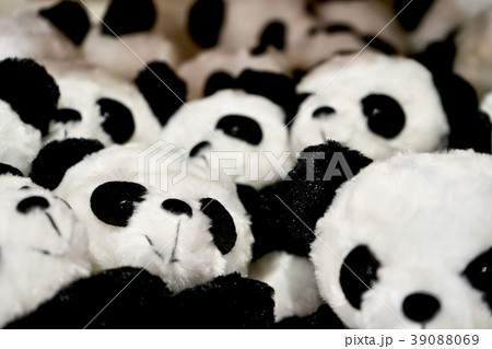 パンダ 39088069