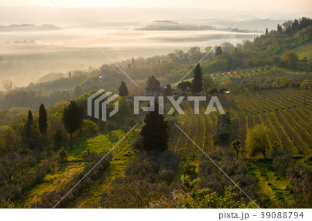 Typical Tuscan landscape 39088794