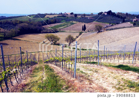 Typical Tuscan landscape 39088813