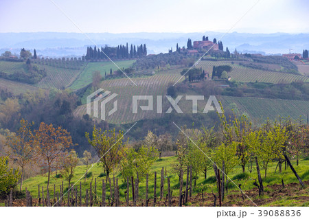 Typical Tuscan landscape 39088836