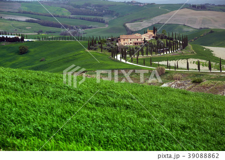 Typical Tuscan landscape Typical Tuscan landscape 39088862