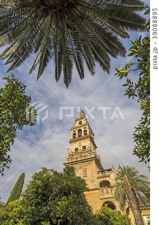 Spain, Andalusia, Cordoba, Minaret of Great Mosque of Córdoba behind trees Spain, Andalusia, Cordoba, Minaret of Great Mosque of Córdoba behind trees 39088895
