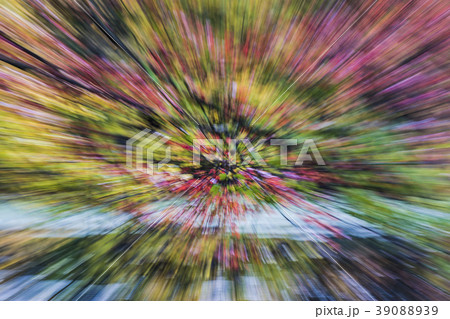 Abstract purple and green defocused forest 39088939