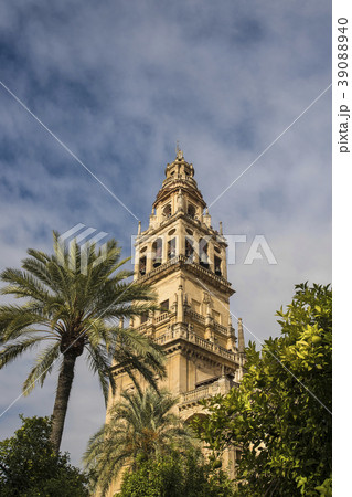 Spain, Andalusia, Cordoba, Minaret of Great Mosque of Córdoba behind trees 39088940